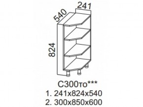 С300то Стол-рабочий 300 (торцевой открытый) в Осе - osa.magazin-mebel74.ru | фото