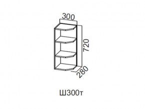 Ш300т/720 Шкаф навесной 300/720 (торцевой) в Осе - osa.magazin-mebel74.ru | фото