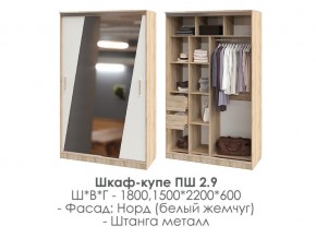 шкаф-купе ПШ-2.9 1500 Норд Белый жемчуг 1500 в Осе - osa.magazin-mebel74.ru | фото