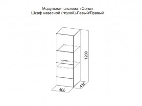 Шкаф навесной (глухой) Левый в Осе - osa.magazin-mebel74.ru | фото