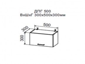 Шкаф верхний ДПГ500 горизонтальный в Осе - osa.magazin-mebel74.ru | фото
