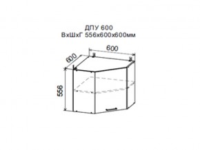 Шкаф верхний ДПУ600 угловой в Осе - osa.magazin-mebel74.ru | фото
